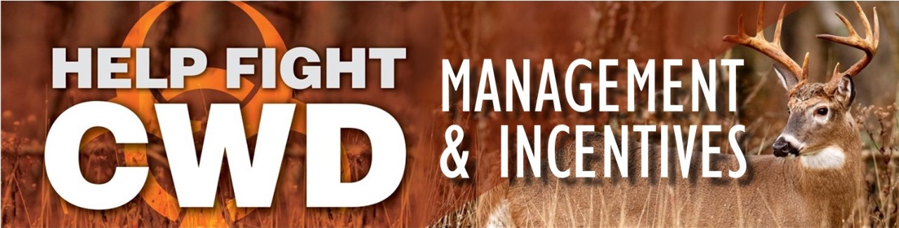 Management & Incentive Programs