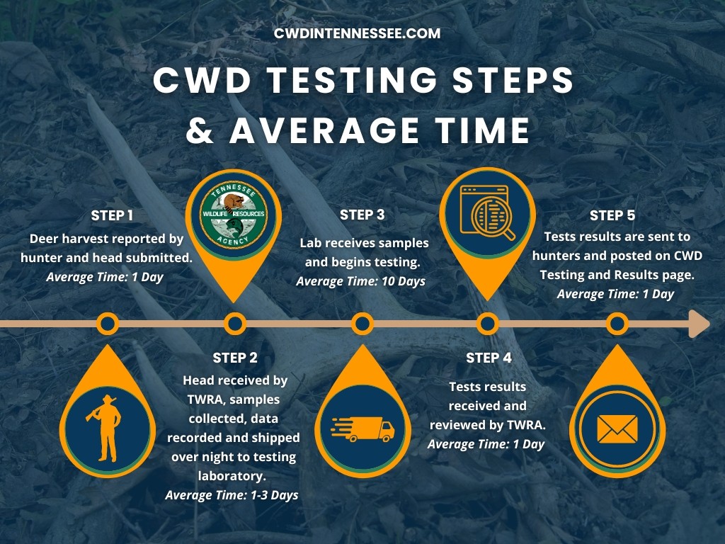 CWD Testing Turn Around