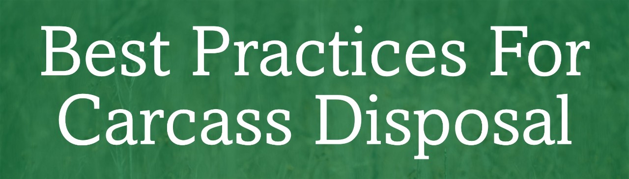 Best Practices for Carcass Disposal