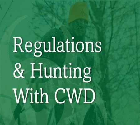 Best Practices for Hunting with CWD
