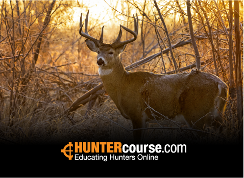 NRA Hunter Education Course