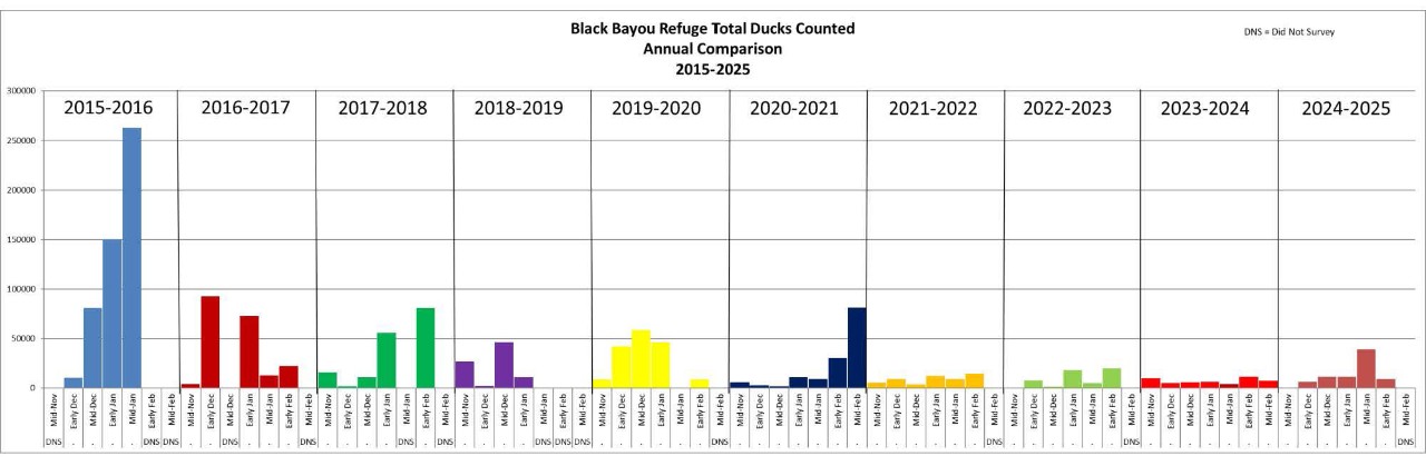 Black Bayou Refuge Waterfowl Counts