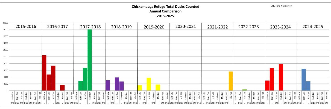 Chickamauga WMA Waterfowl Counts