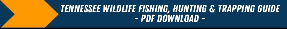 Fishing Guide and Regulations Information Banner
