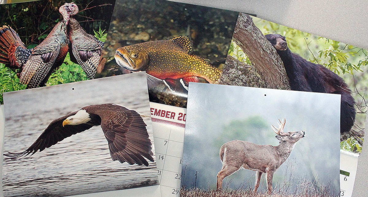 TN Wildlife Calendar