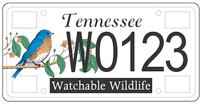Tennessee License Plates webpage link, bluebird on branch license example