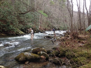 blog-browns-story blog-browns-story