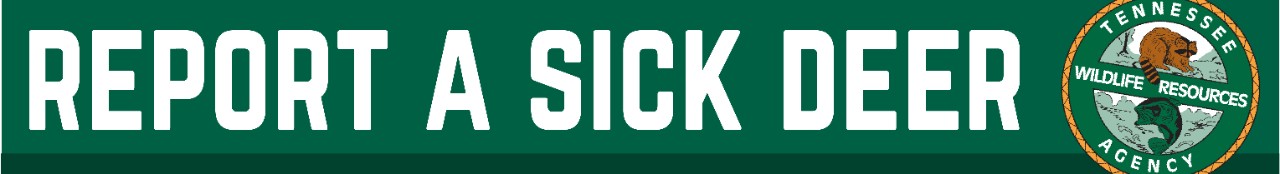 Report a sick deer online form link