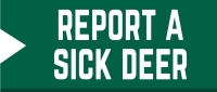 Report a sick deer here.