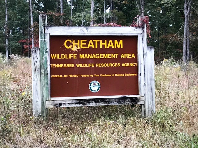 Cheatham WMA 