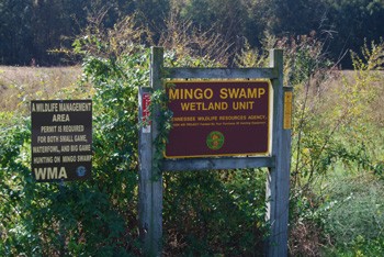 Mingo Swamp WMA Map
