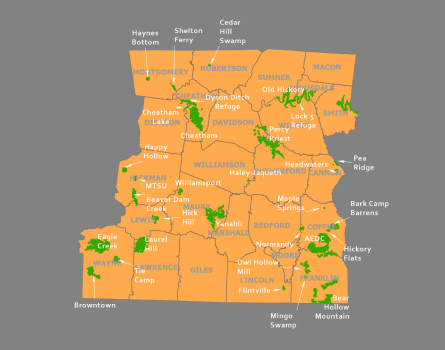 Middle Tennessee Region 2