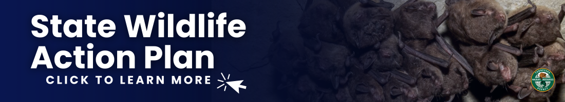 Tennessee State Wildlife Action Plan