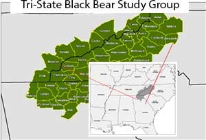 black bear habitat map