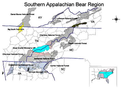 map of southern appalachian bear region