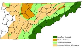 range map of bear population