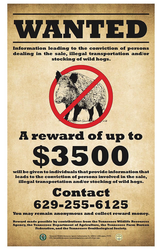 Wild Hog Wanted Poster