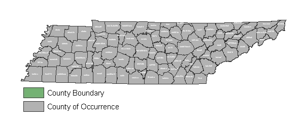 Range Map of Hoary Bat, showing occurrence in all Tennessee counties
