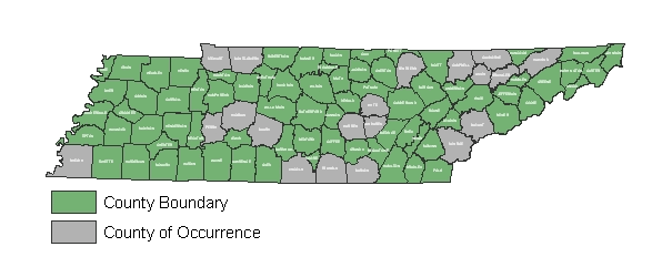 Range map