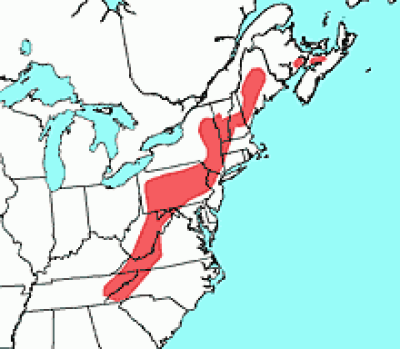 Long-tailed-Shrew-rangemap