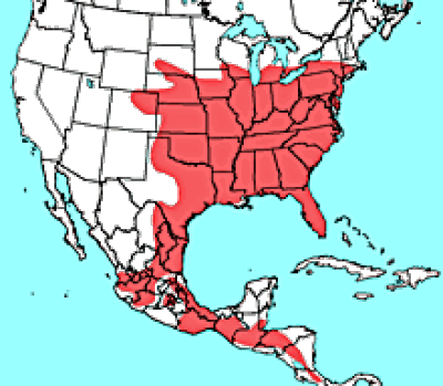 North-American-least-Shrew-rangemap
