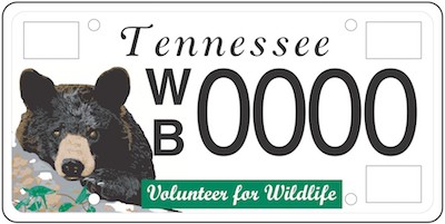 Bear License Plate Bear License Plate