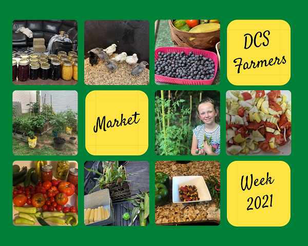 photo collage from DCS Farmers Market Week