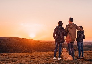 back of a family of three with their dog looking at the sunset