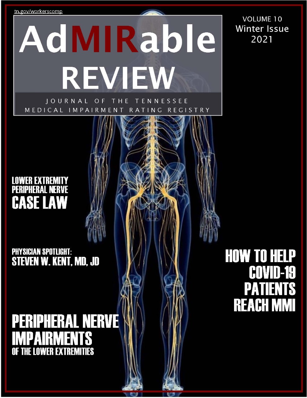 Cover image to the Winter 2021 AdMIRable Review issue