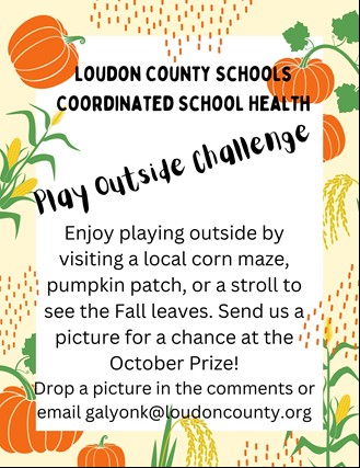 CommunityEngagement_LoudonCS_img CommunityEngagement_LoudonCS_img