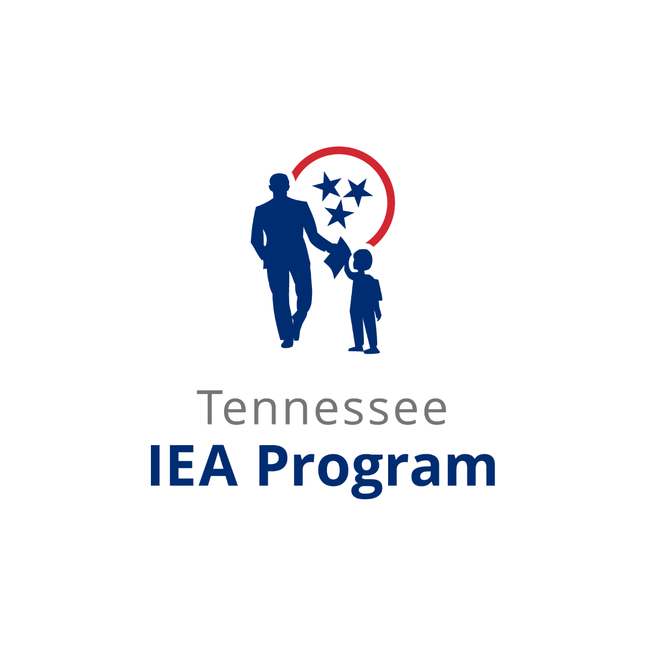 Logo_BfAStyle_IEA