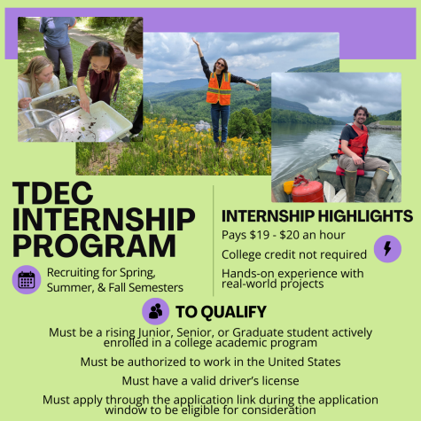 Intern Flyer TDEC Internship Program Flyer