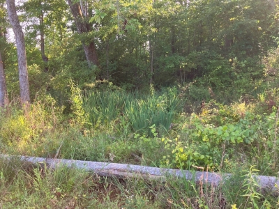 na_nwca-wetland na_nwca-wetland