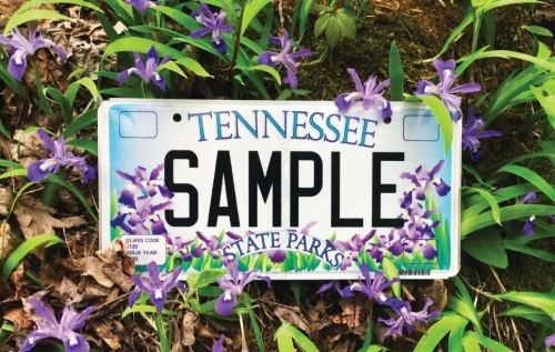 State Parks License Plate in a Bed of Irises
