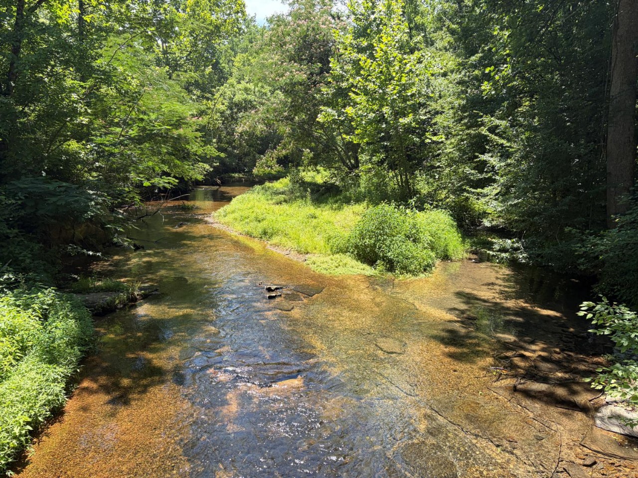 A clear, shallow river passes over large cobbles in a green forest