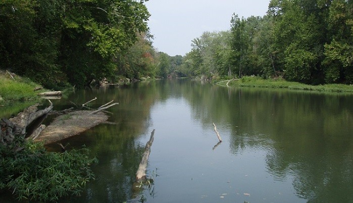 Buffalo Scenic River