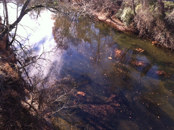 Collins Scenic River