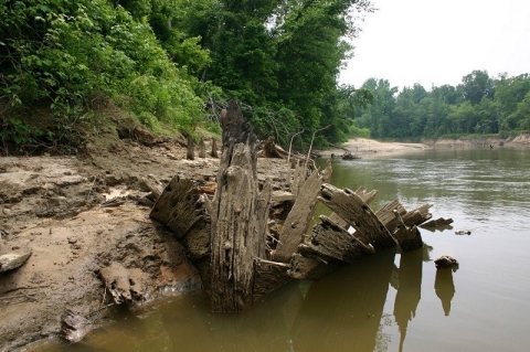 Hatchie Scenic River