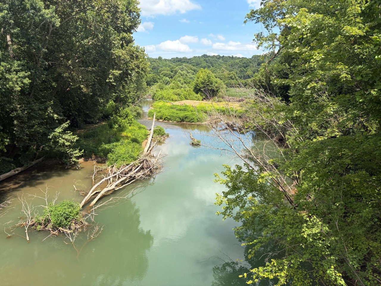 A deep section of a blue-green stream meanders through trees and gravel bars