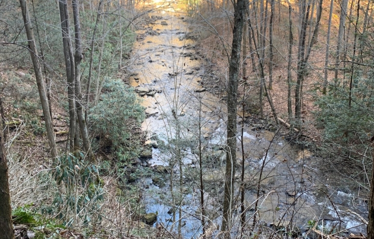 A small shallow river passes over large rocks in a low forest in winter.