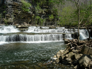 Roaring Scenic River