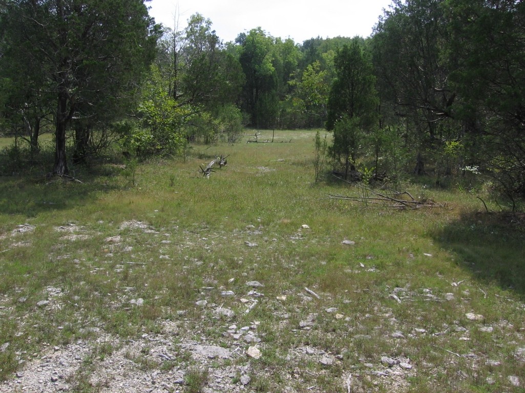 Open glade habitat with short grasses and exposed bedrock