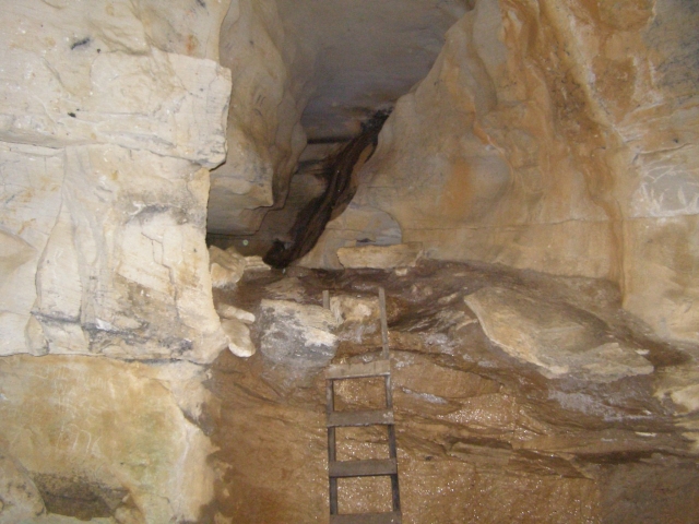 A ladder leans against a stone wall to a cave opening