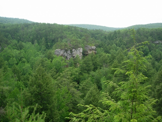 Canopy view of rock formations and forest lanscape with rolling hills in background