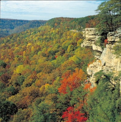Overlook of the forest during fall colors from edge of the rock wall