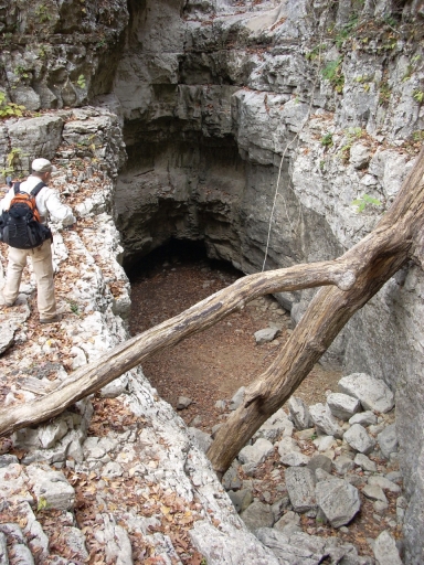 A hiker looks over a sinkhole with a tall rock wall and fallen tree