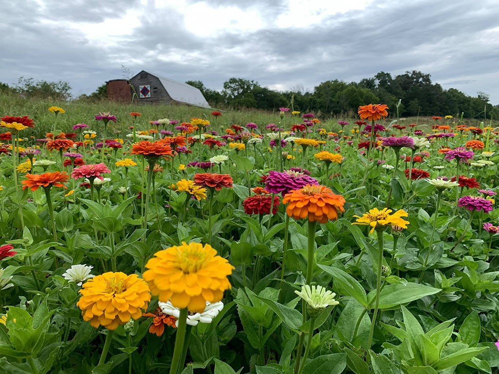Example of funded project at Seven Islands State Birding Park in Kodak, TN Image of "Example of funded project at Seven Islands State Birding Park in Kodak, TN"