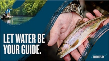 Let Water be Your Guide