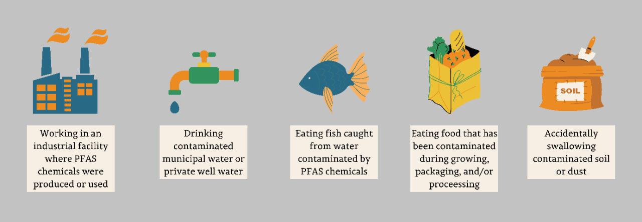 PFAS Exposure Pathways PFAS Exposure Pathways