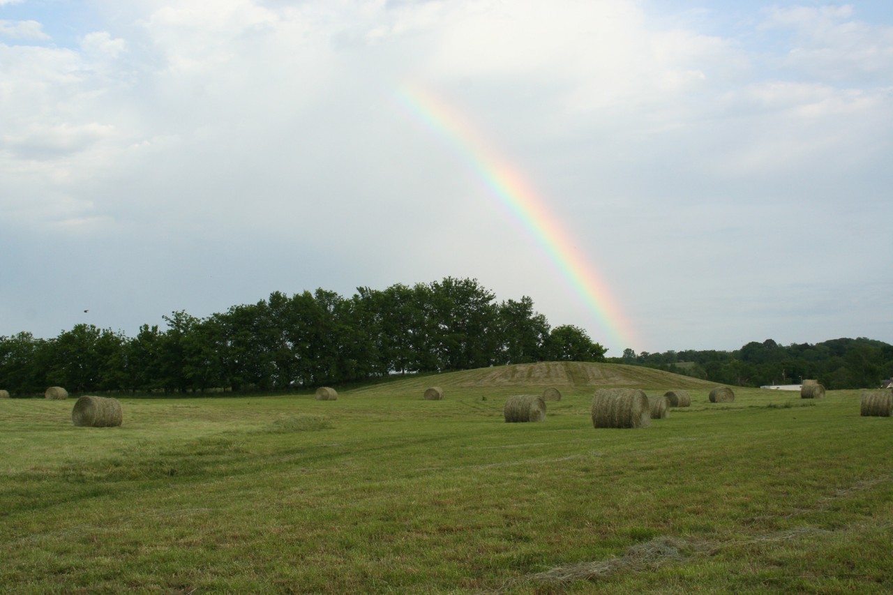 Castalian Springs with rainbow Castalian Springs with rainbow